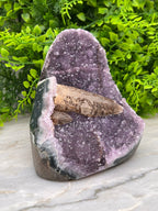Amethist met Kwartskristal cut base - zeldzaam by KEY LIME STORE