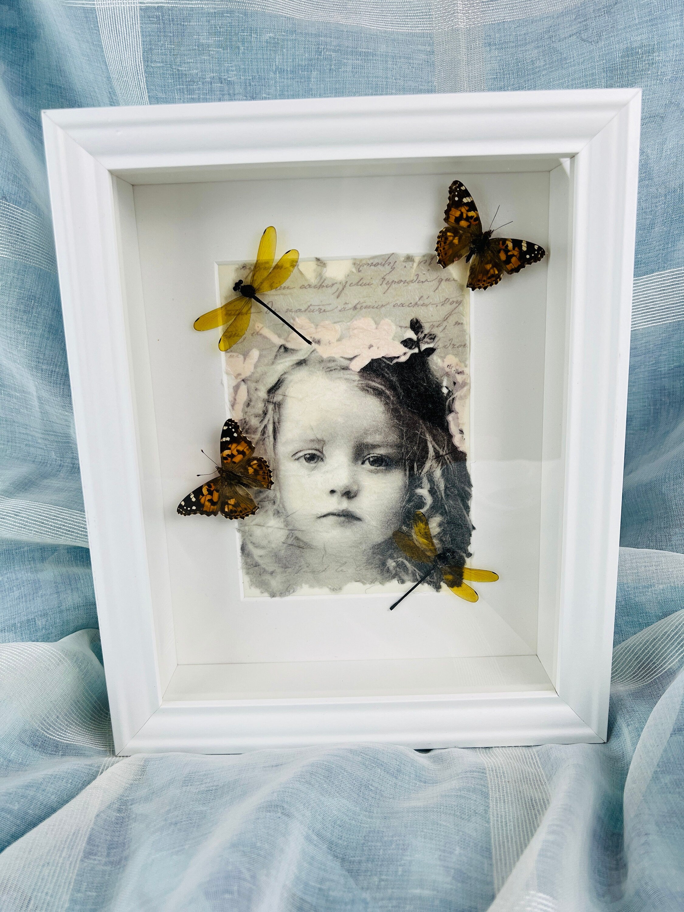 Vanessa Cardui en libelle op print in lijst