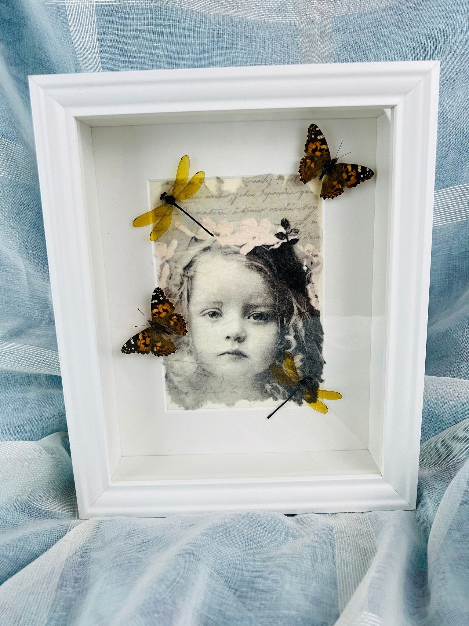Vanessa Cardui und Libelle als Druck in einem Rahmen von KEY LIME STORE