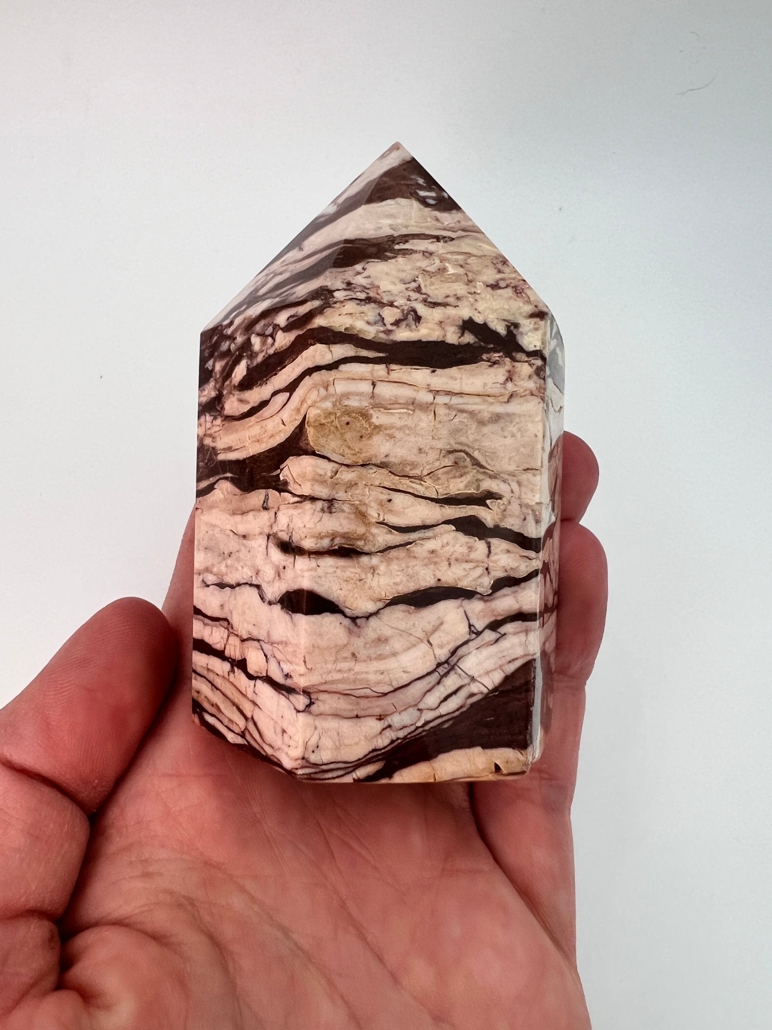 Zebrajaspis toren 0.252 kg by KEY LIME STORE