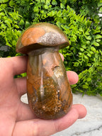 Oceaan Jaspis paddenstoel (8 cm)