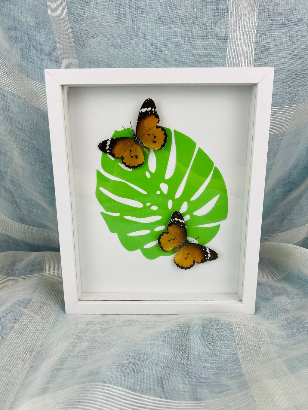 „Danaus Chrysippus“ auf Monstera-Druck, gerahmt von KEY LIME STORE