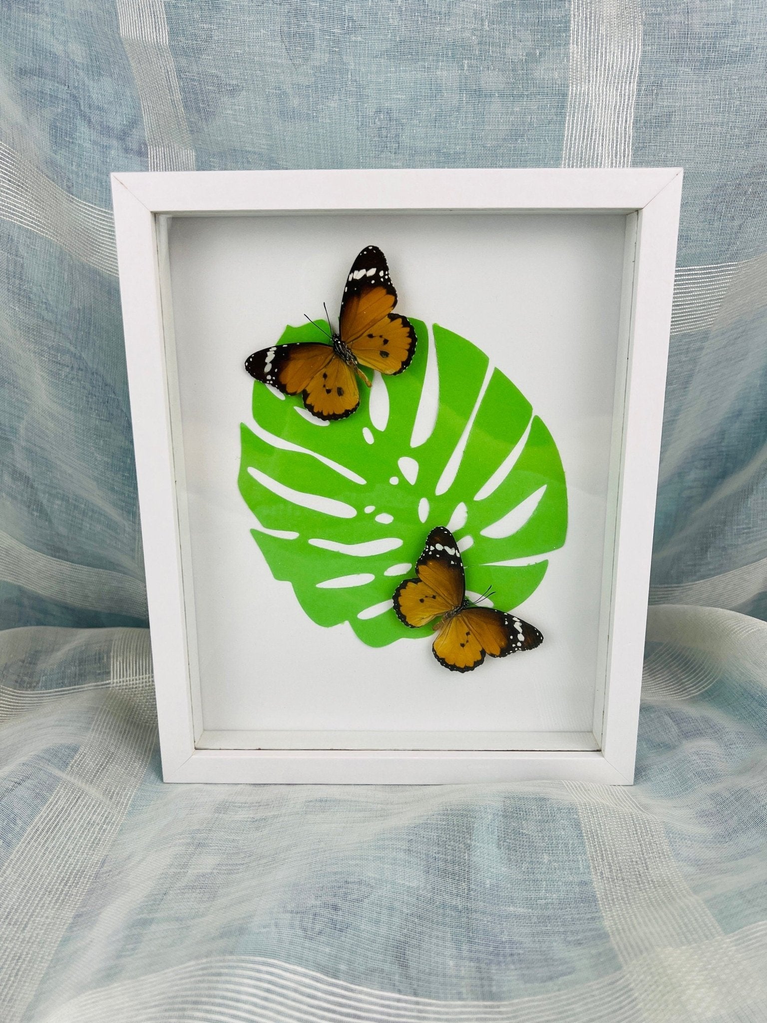 „Danaus Chrysippus“ auf Monstera-Druck, gerahmt von KEY LIME STORE