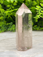 A clear quartz crystal sits on a white surface, surrounded by lush green foliage.