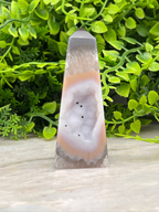 A clear geode with a unique pattern of crystals sits on a wooden surface, surrounded by lush green foliage.
