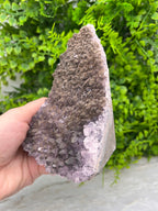 Amethist cluster cut base