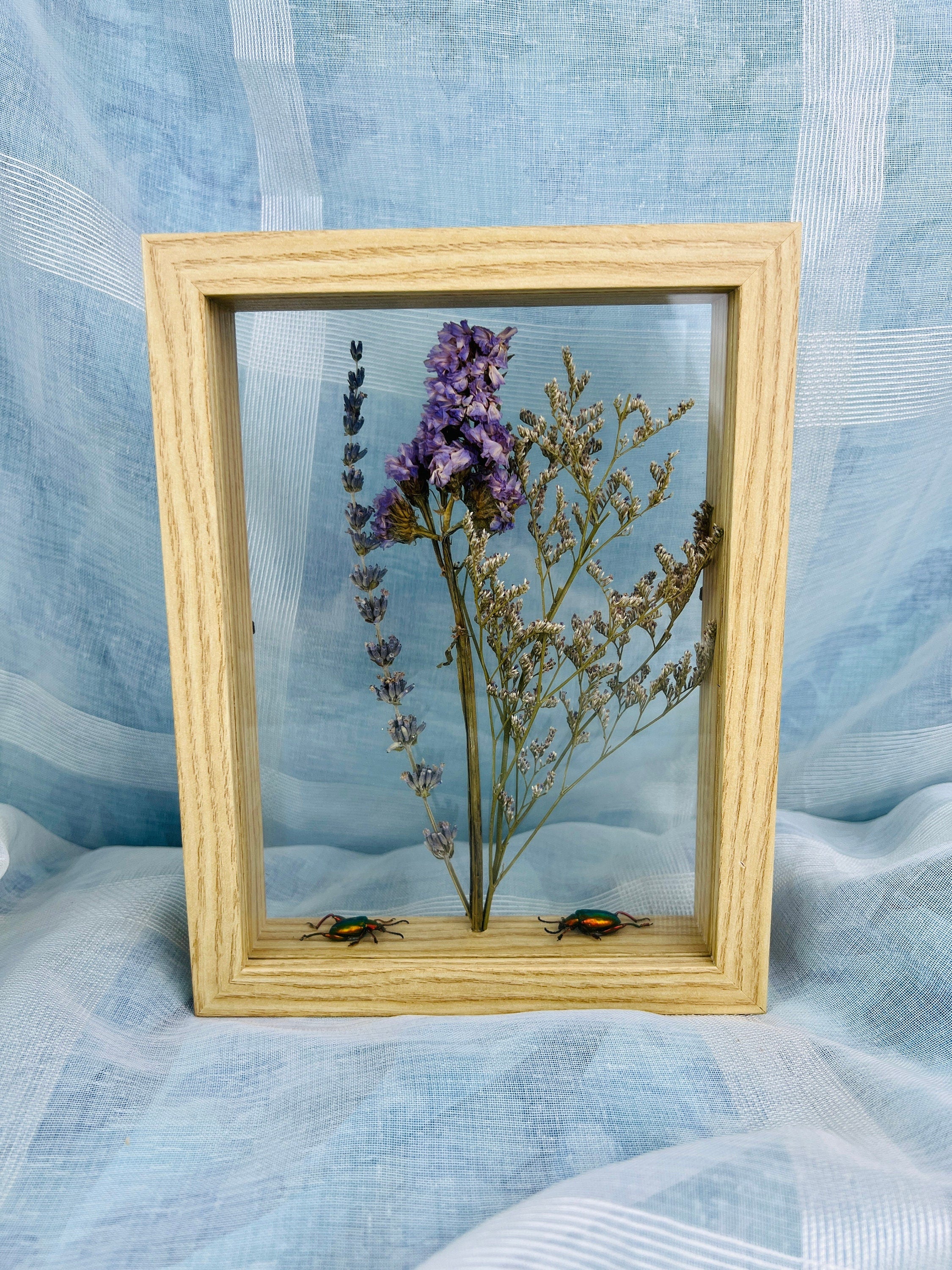 Echte insecten | Dubbelglas houten lijst met kevers en droogbloemen (22x17cm)
