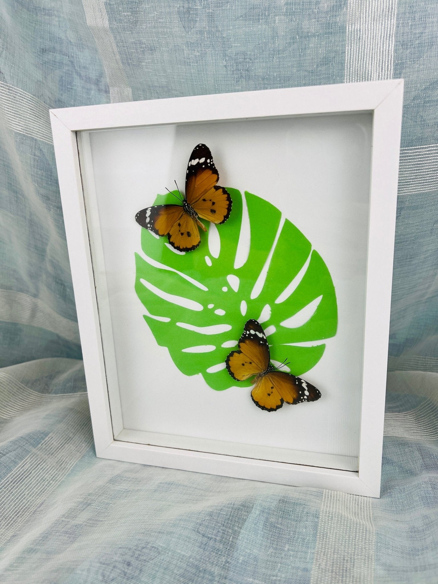 „Danaus Chrysippus“ auf Monstera-Druck, gerahmt von KEY LIME STORE