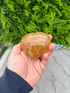 A hand holding a yellowish-brown stone against a backdrop of green foliage.