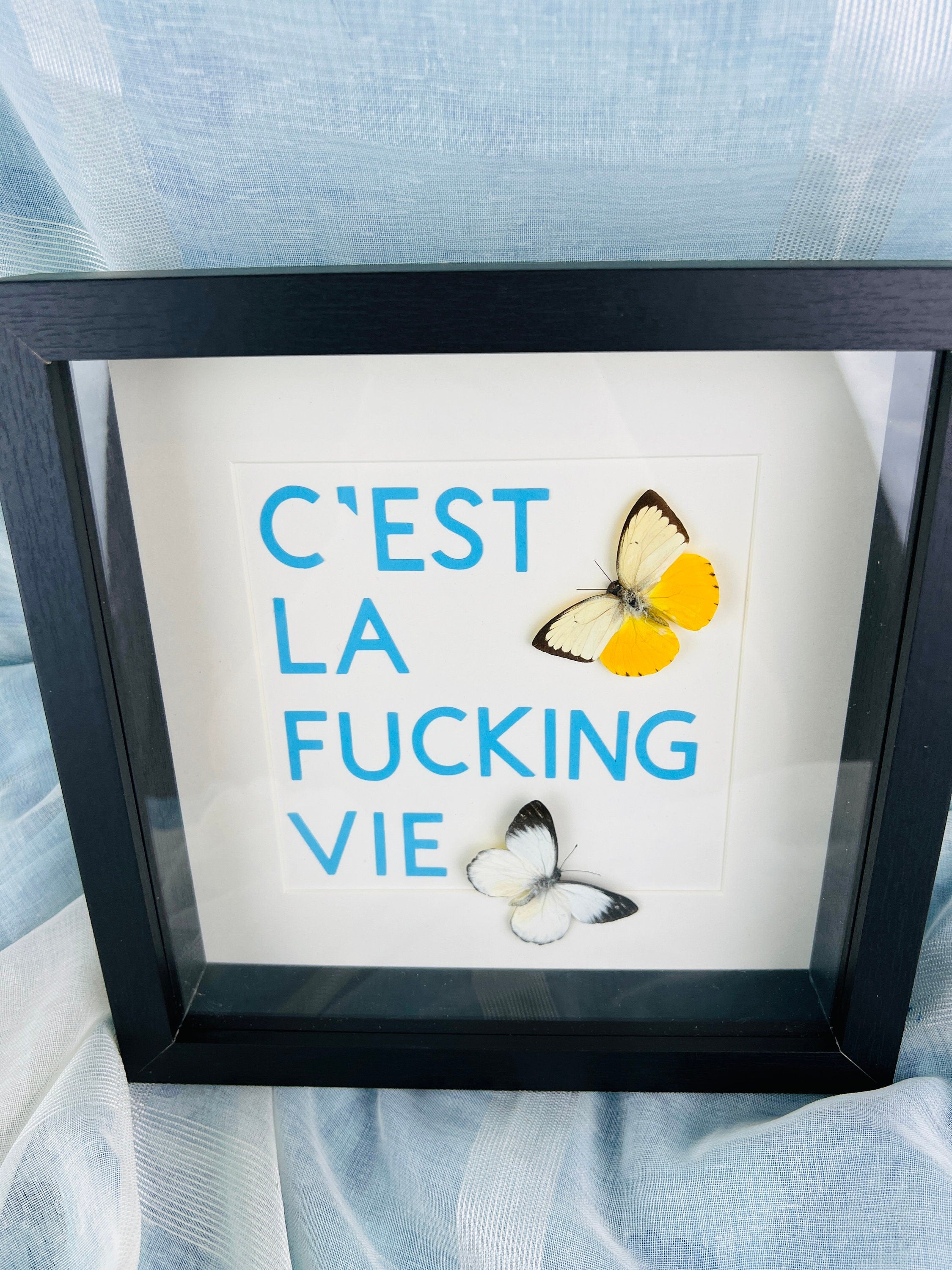 Vlinders met tekst in lijst