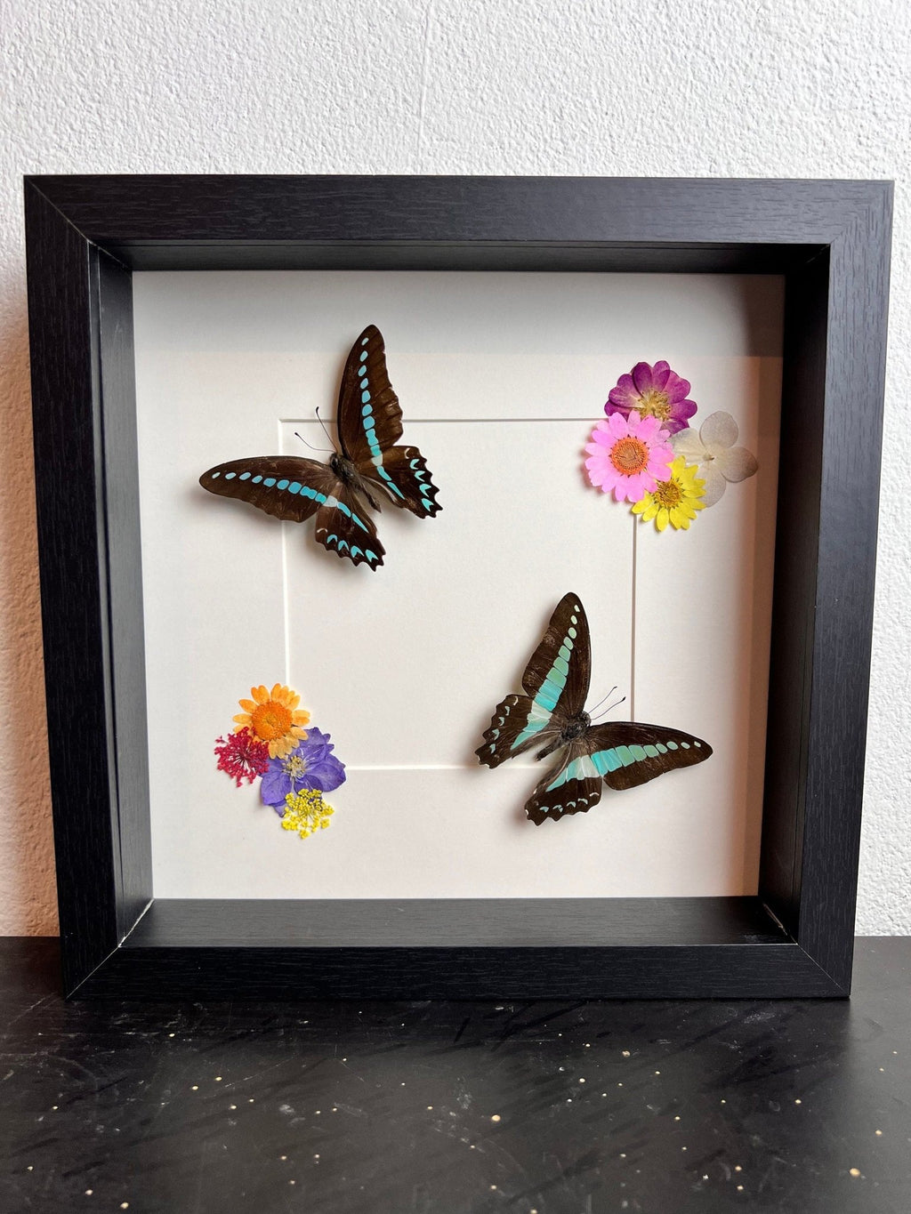 „Graphium Milon“ und „Graphium Sarpedon“ mit Trockenblumen in einem Rahmen von KEY LIME STORE