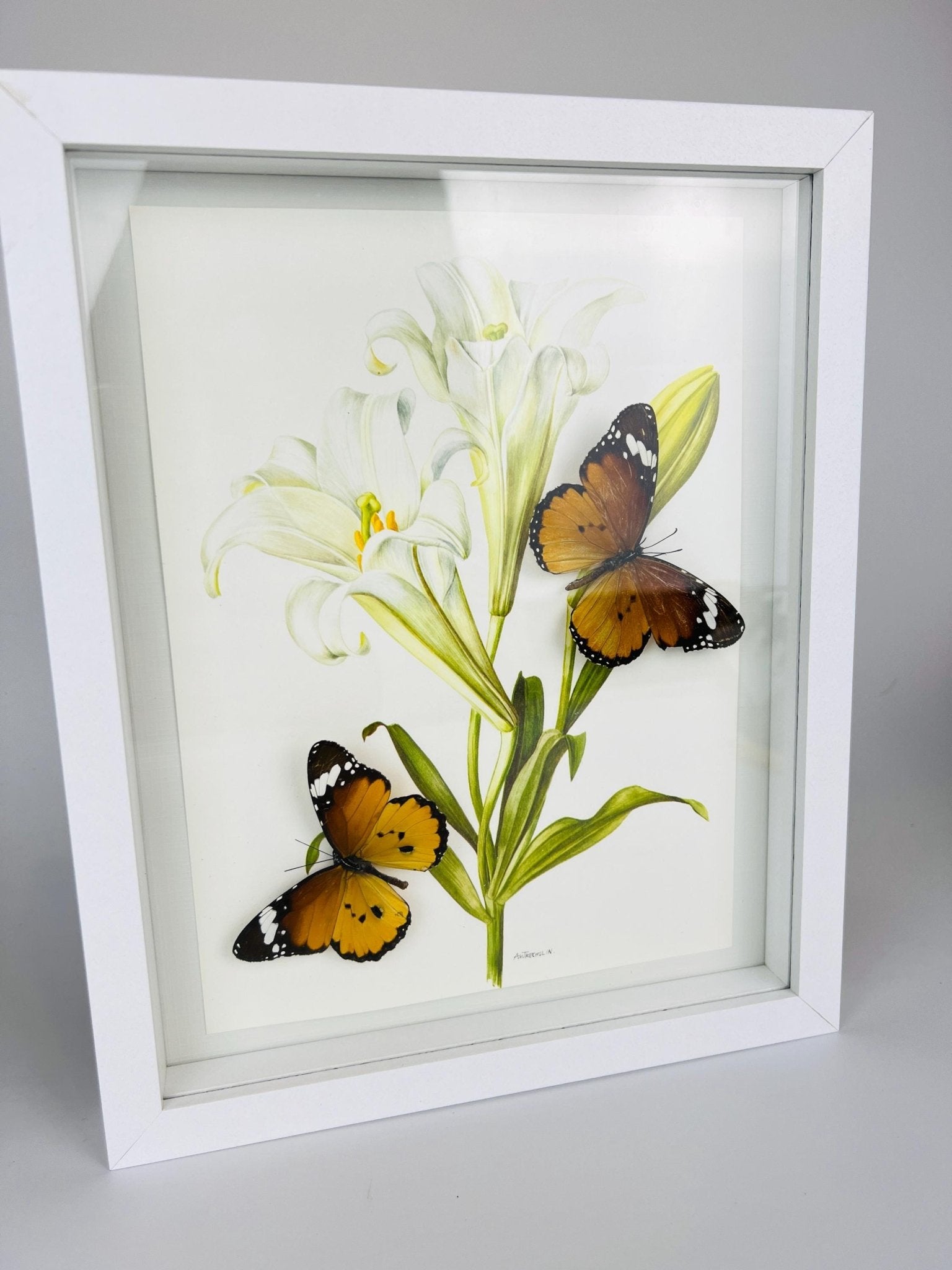 Danaus Chrysippus op vintage bloemenprint in lijst by KEY LIME STORE