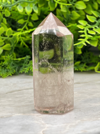 A clear crystal with a pointed top sits on a white surface, surrounded by lush green foliage.