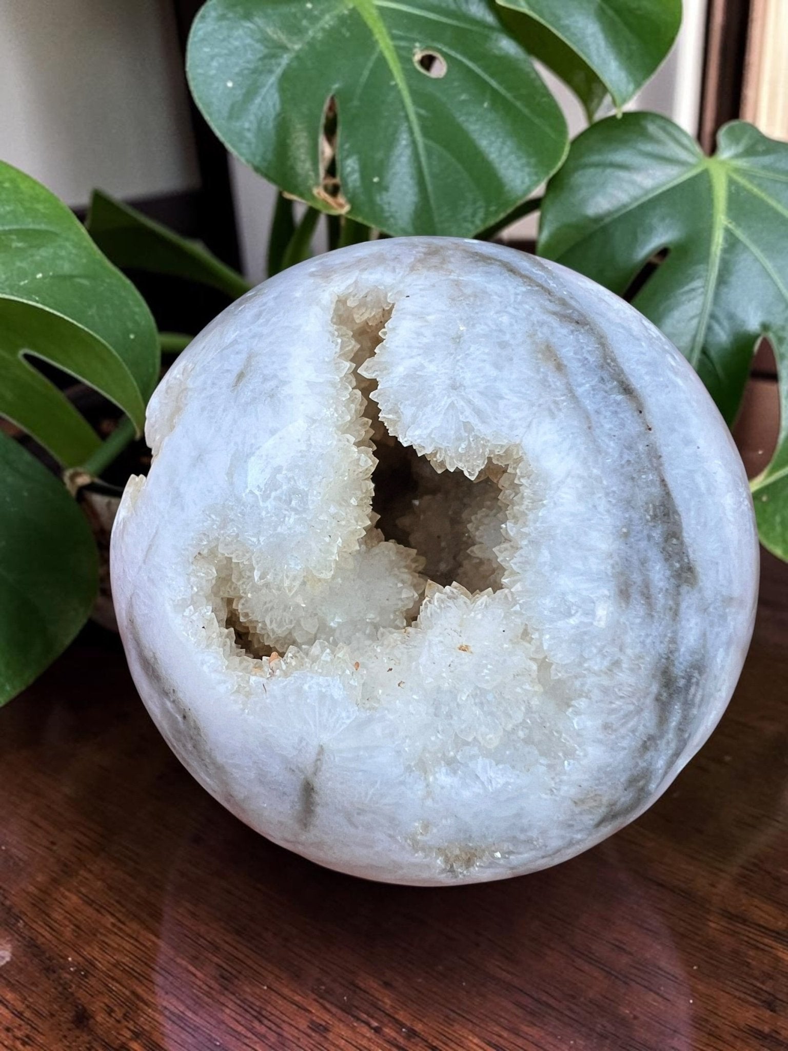 Druze Zebra Jaspis bol by KEY LIME STORE