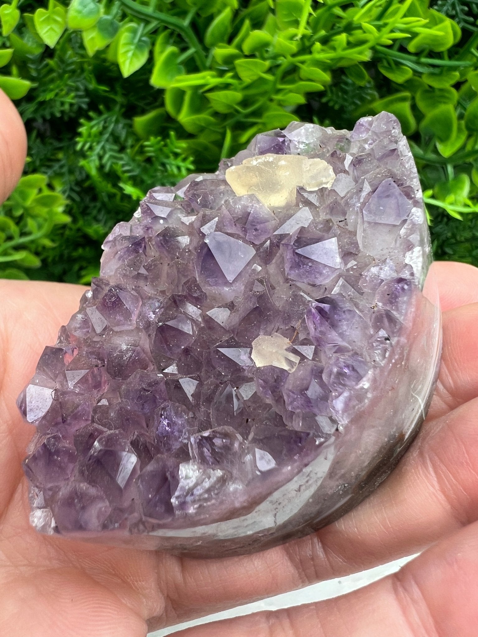 Amethyst, elliptisch (6 cm) von KEY LIME STORE