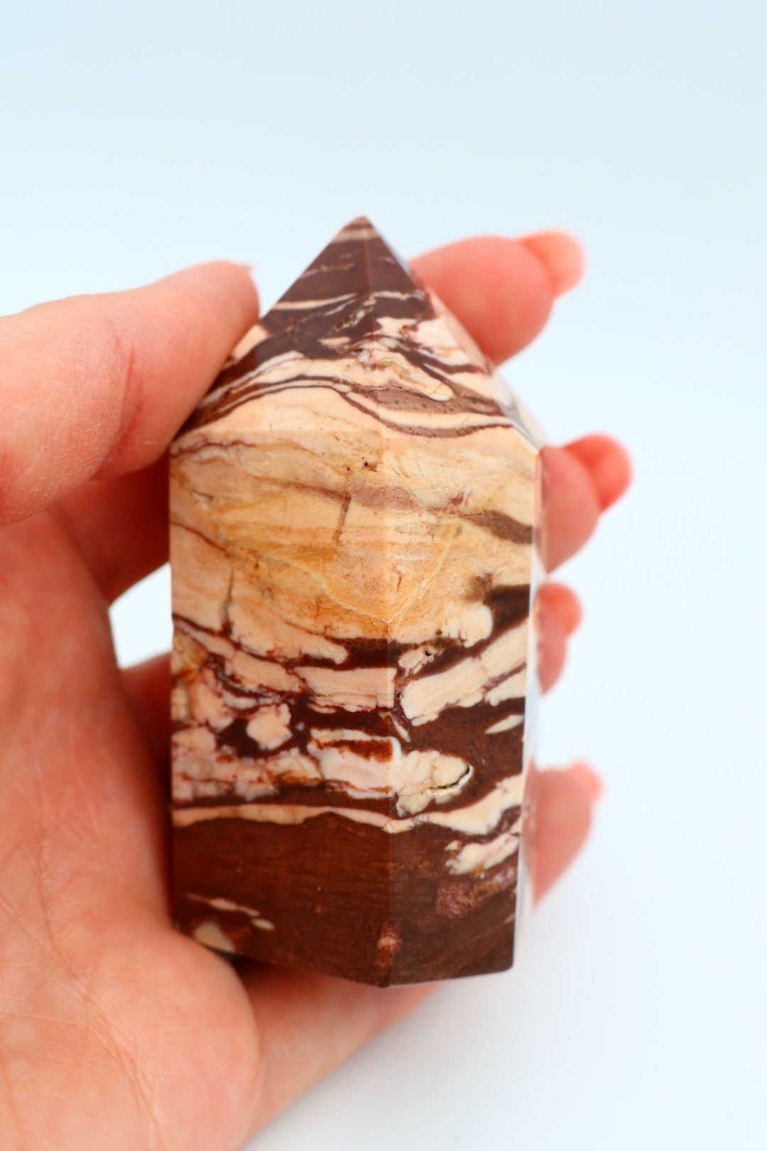 Zebra Jaspis 0.165 kg