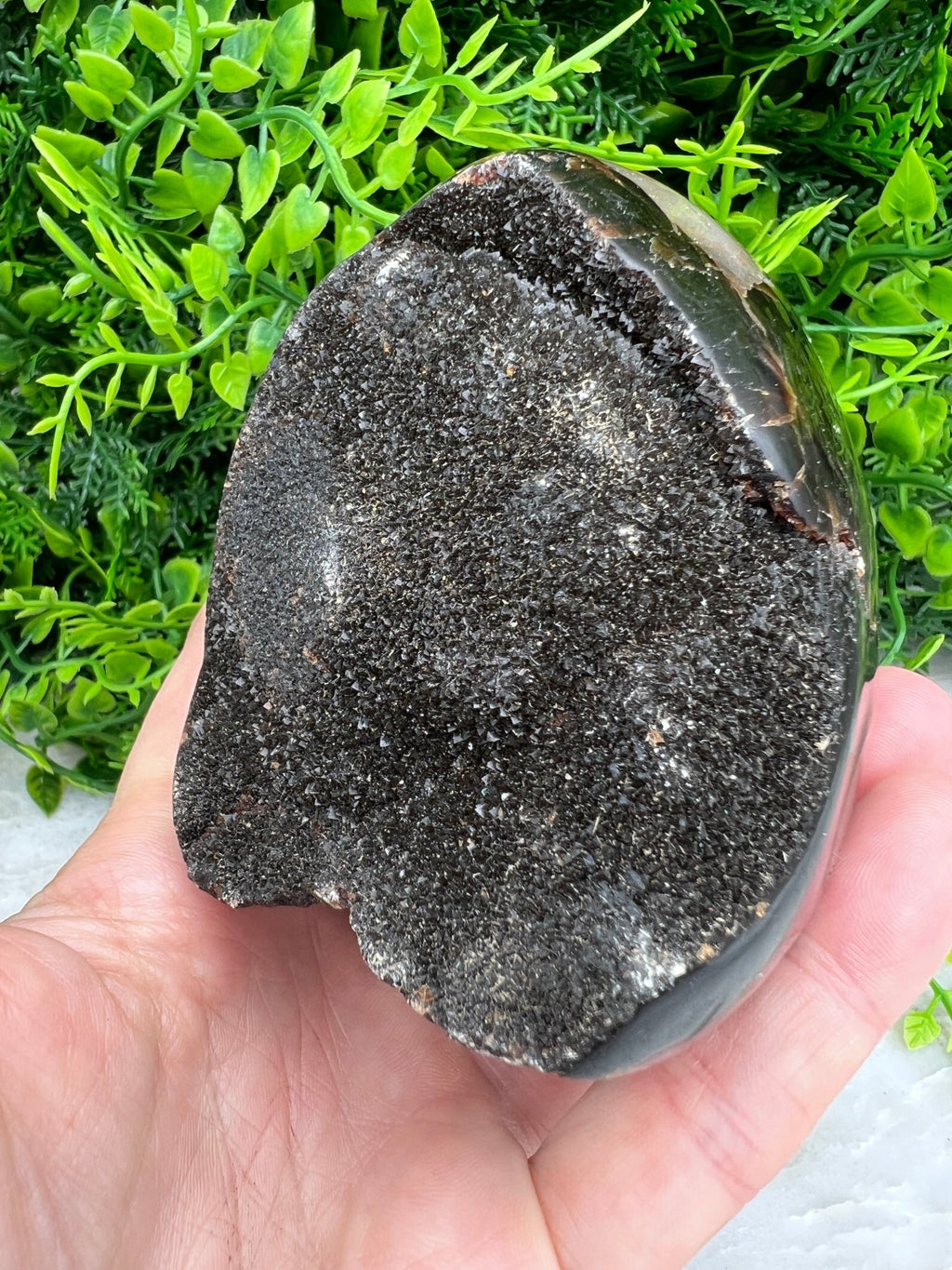 Druzy-Septarie, eiförmig geschliffen, mit Sockel (532 Gramm) von KEY LIME STORE