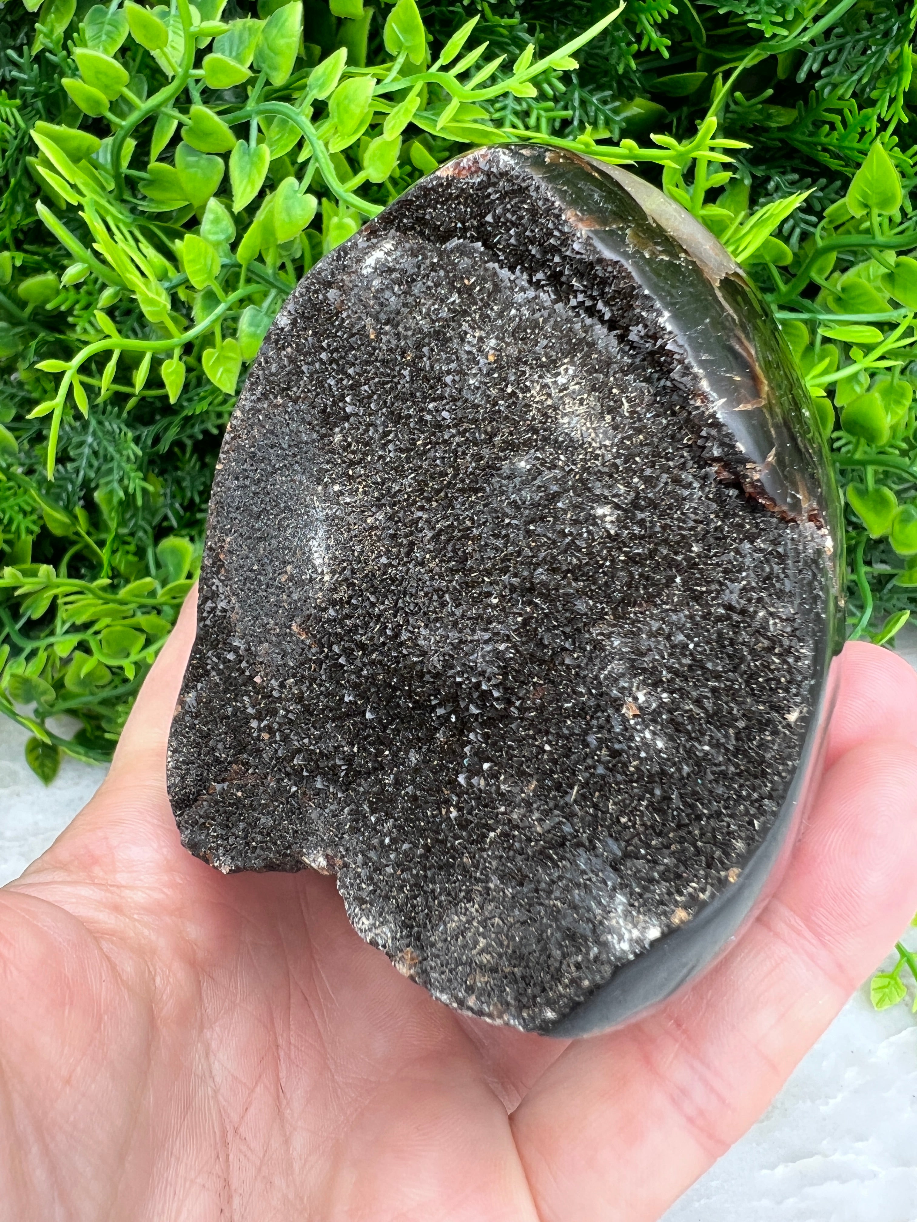 Druzy Septarie ei-vorm cut base (532 gram)