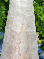 a close-up view of a white crystal or stone with a unique, jagged pattern. The crystal is set against a background of green leaves and flowers, creating a contrast between the natural and man-made elements.