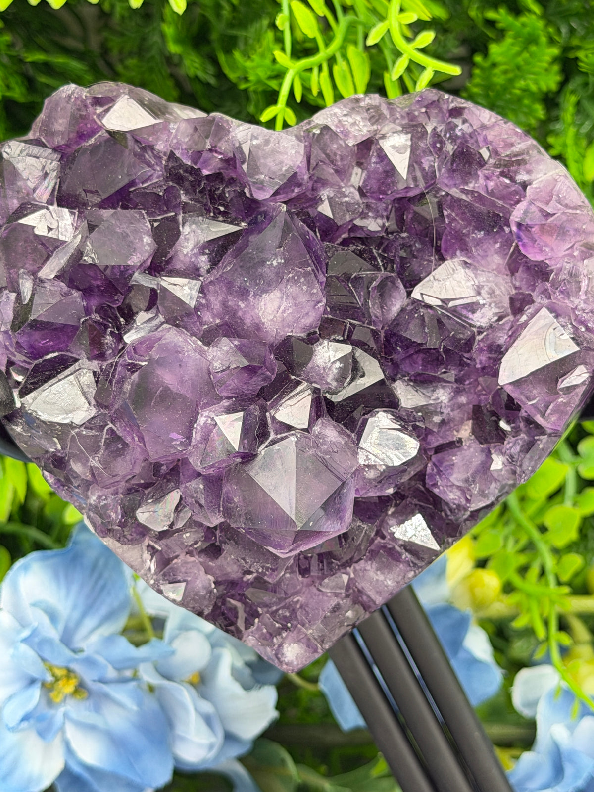 A close-up image of a large, clear crystal formation with numerous small, faceted crystals embedded within it, set against a backdrop of green foliage and blue flowers.