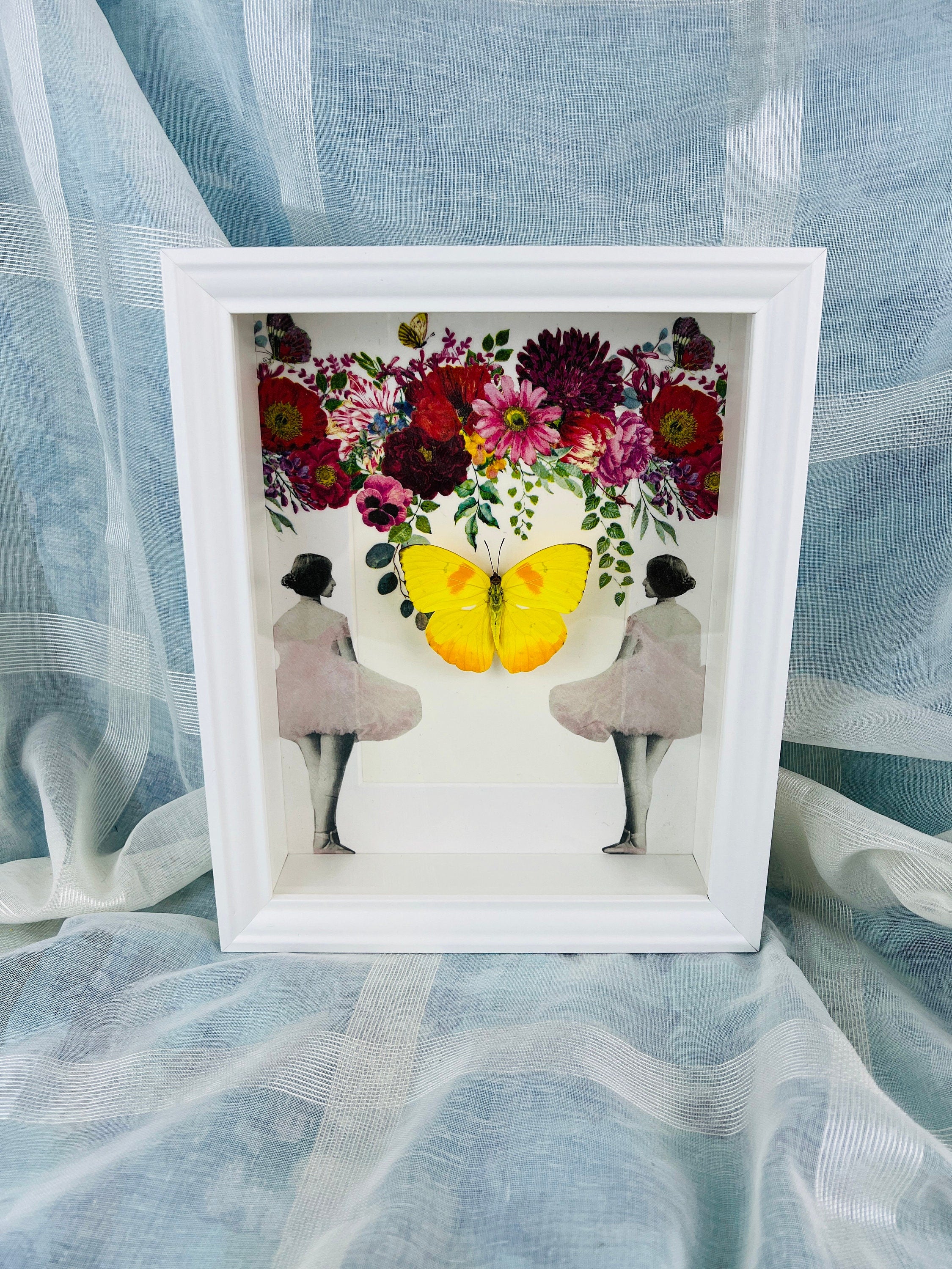 Butterfly Specimen Display - Phoebis Philea Framed with Elegant Decoration