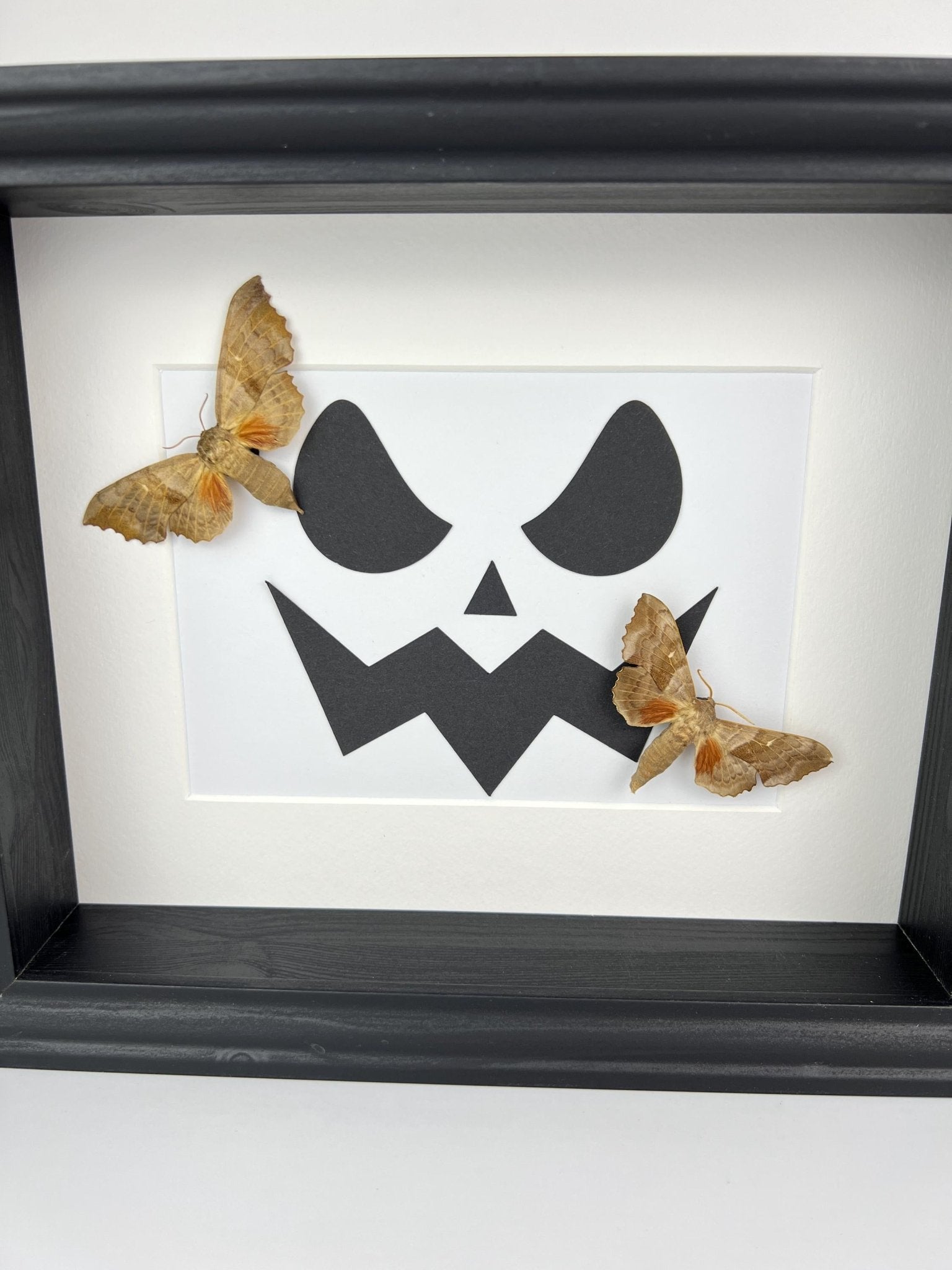 Motten auf Halloween-Motiv, gerahmt von KEY LIME STORE