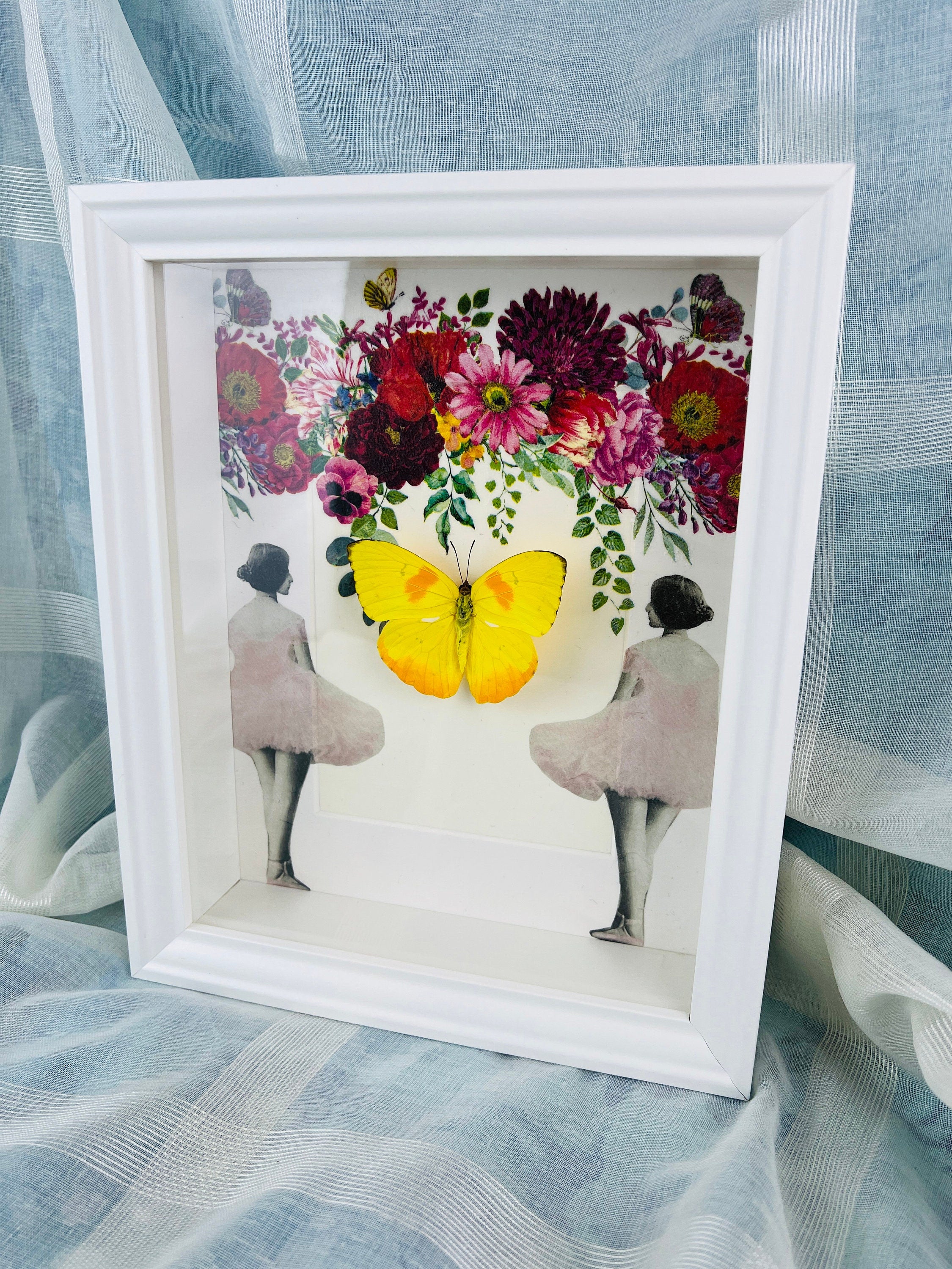 Butterfly Specimen Display - Phoebis Philea Framed with Elegant Decoration