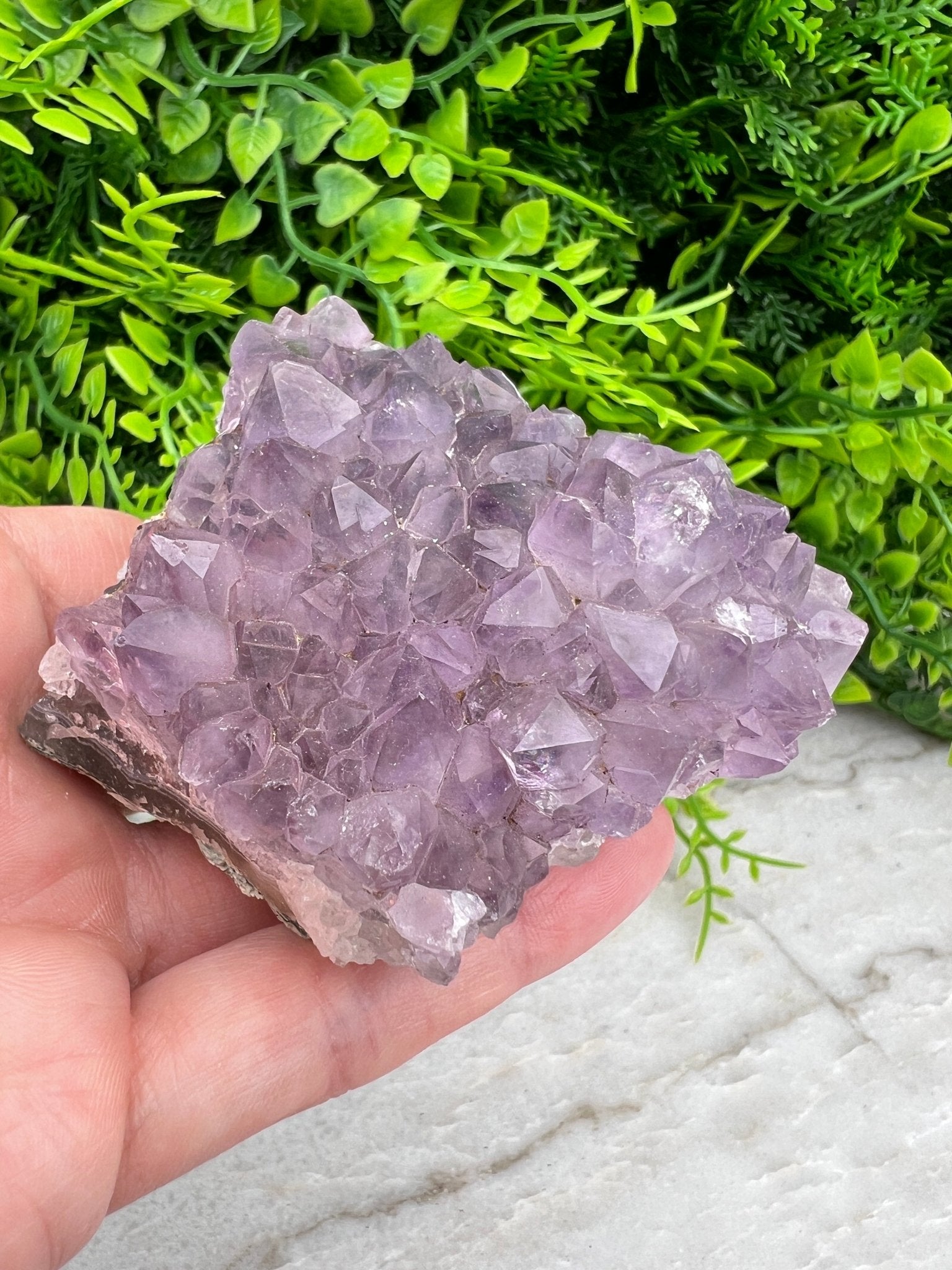 Amethyst-Cluster (8 cm) von KEY LIME STORE