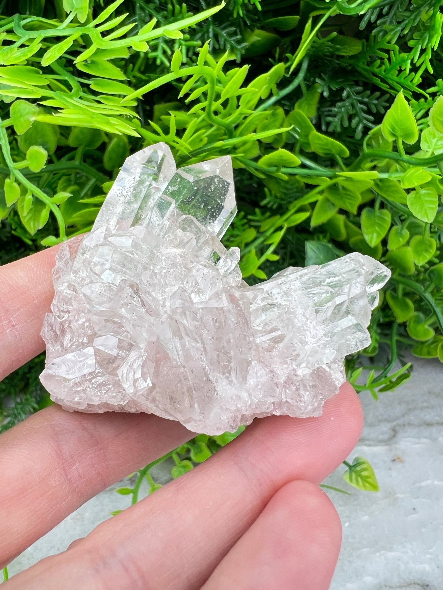 Bergkristall-Cluster (6 cm) von KEY LIME STORE