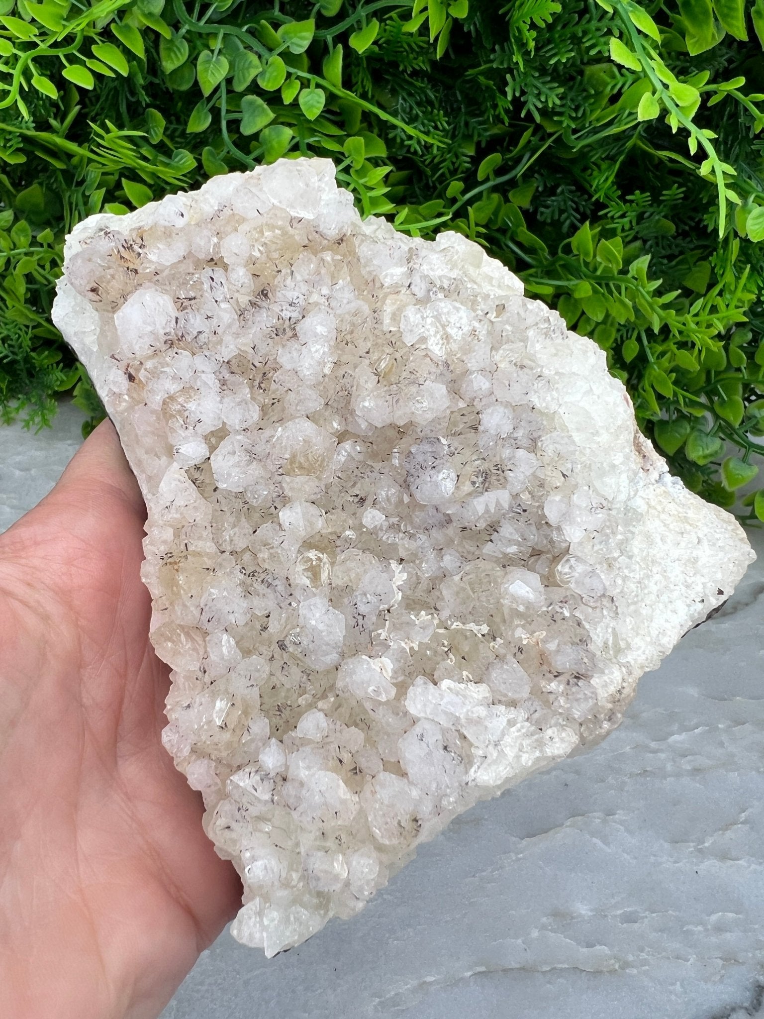 Apophyllit mit schwarzen Turmalin-Einschlüssen (12 cm) von KEY LIME STORE