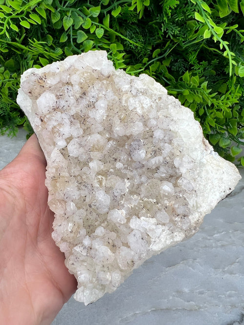 Apophyllit mit schwarzen Turmalin-Einschlüssen (12 cm) von KEY LIME STORE
