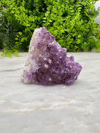 Amethist cluster cut base (6 cm)