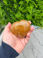 A hand holding a yellowish-brown crystal or gemstone against a backdrop of green foliage.