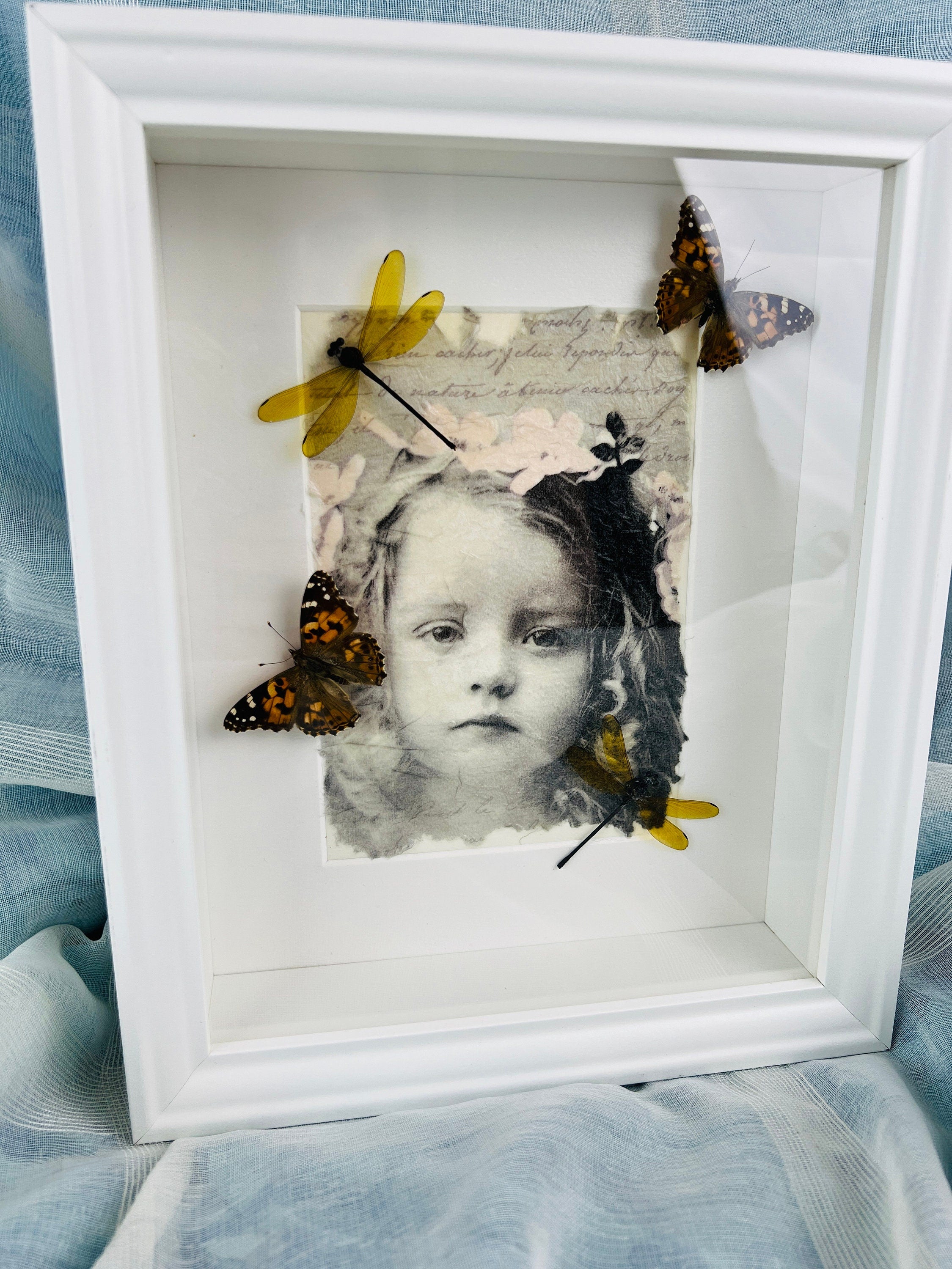 Vanessa Cardui en libelle op print in lijst