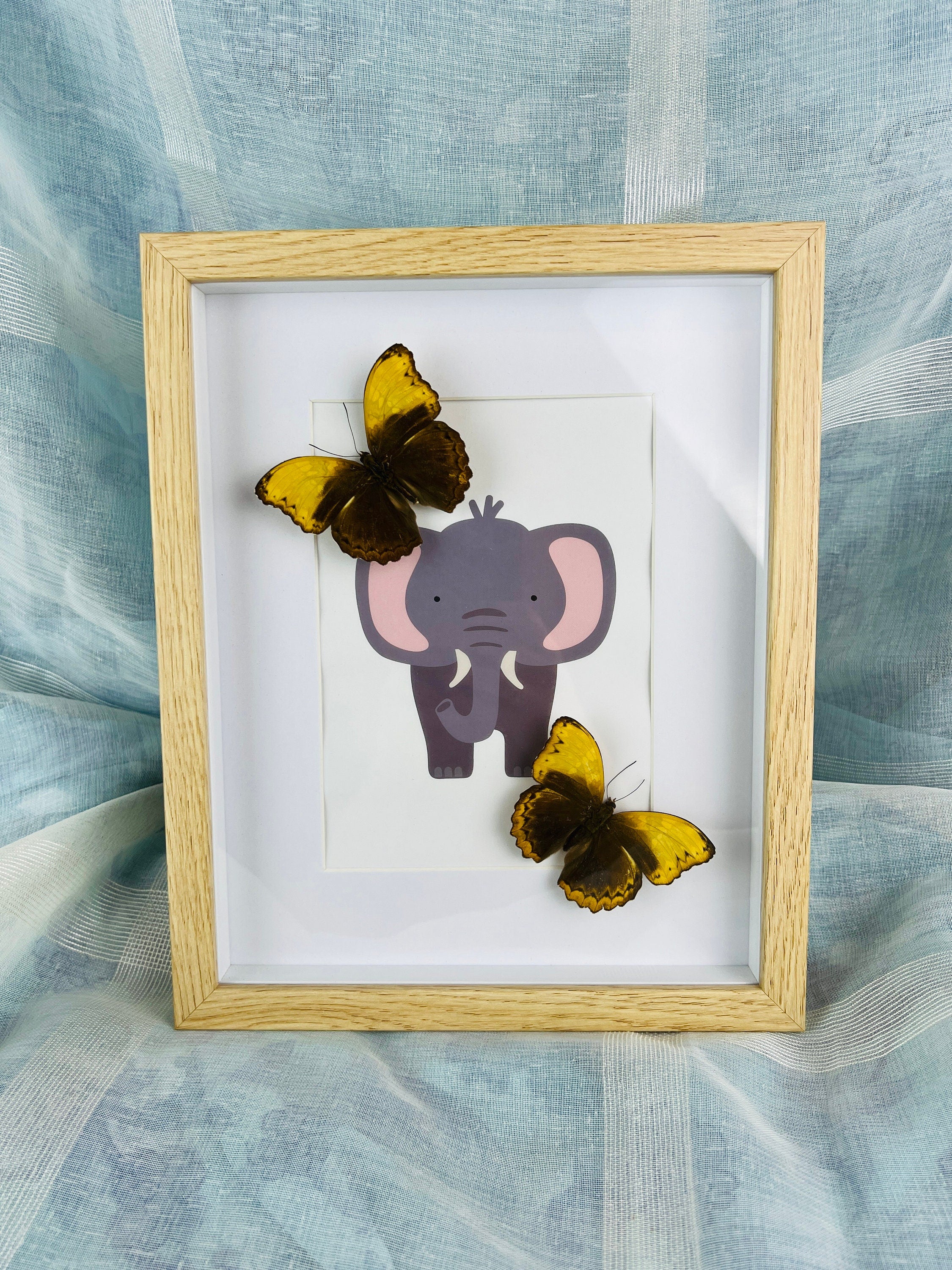 Cymothoe Haynac op print in lijst