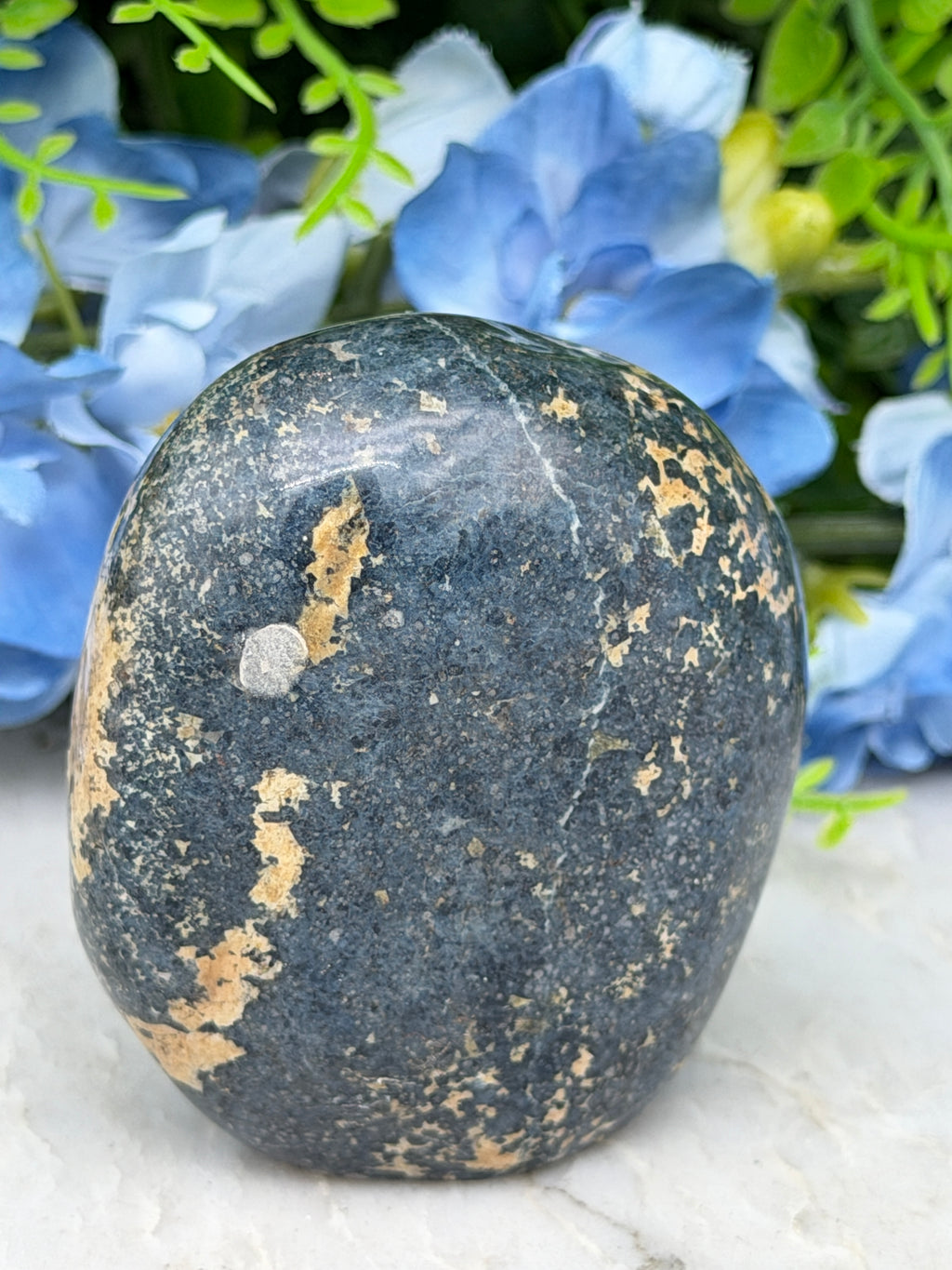 A close-up image of a black, speckled rock with a small silver coin embedded in it, surrounded by blue flowers.