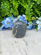 A black rock with a speckled surface rests on a white surface, surrounded by vibrant blue flowers.