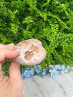 A hand holding a heart-shaped rock against a backdrop of lush green foliage and blue flowers.