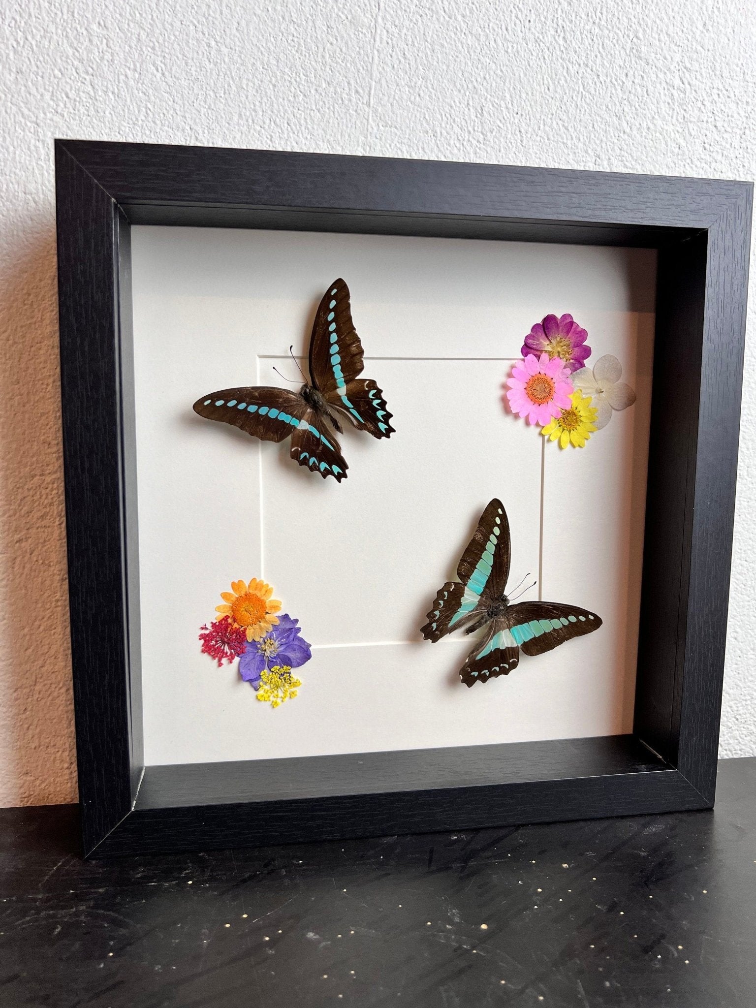 „Graphium Milon“ und „Graphium Sarpedon“ mit Trockenblumen in einem Rahmen von KEY LIME STORE
