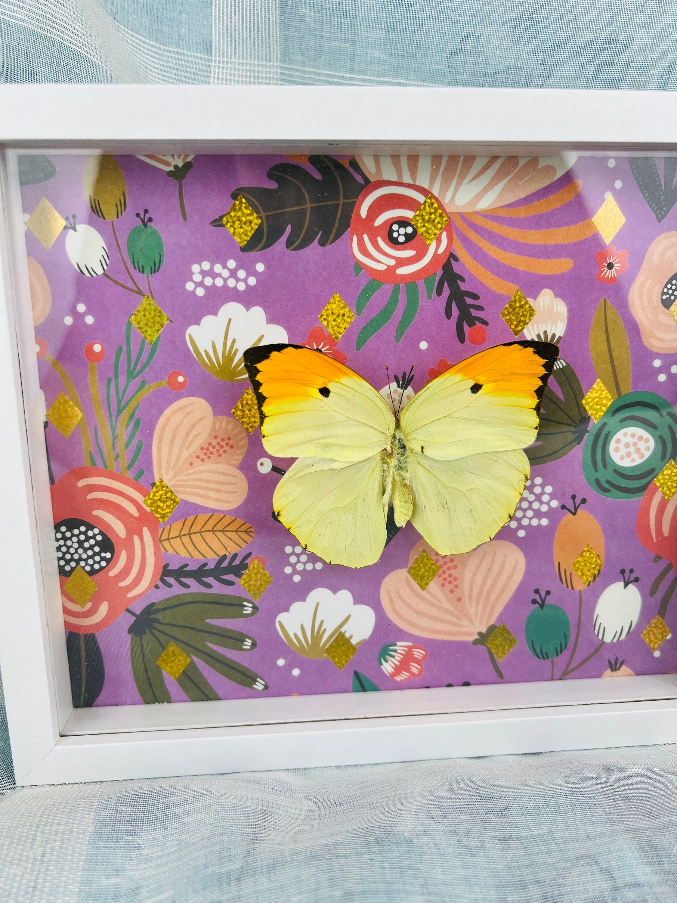 Echte vlinder | Anteos Menippe op print in lijst (23x19cm)