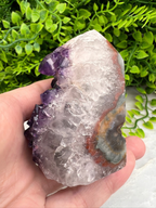 A hand holding a piece of amethyst crystal against a backdrop of green foliage.