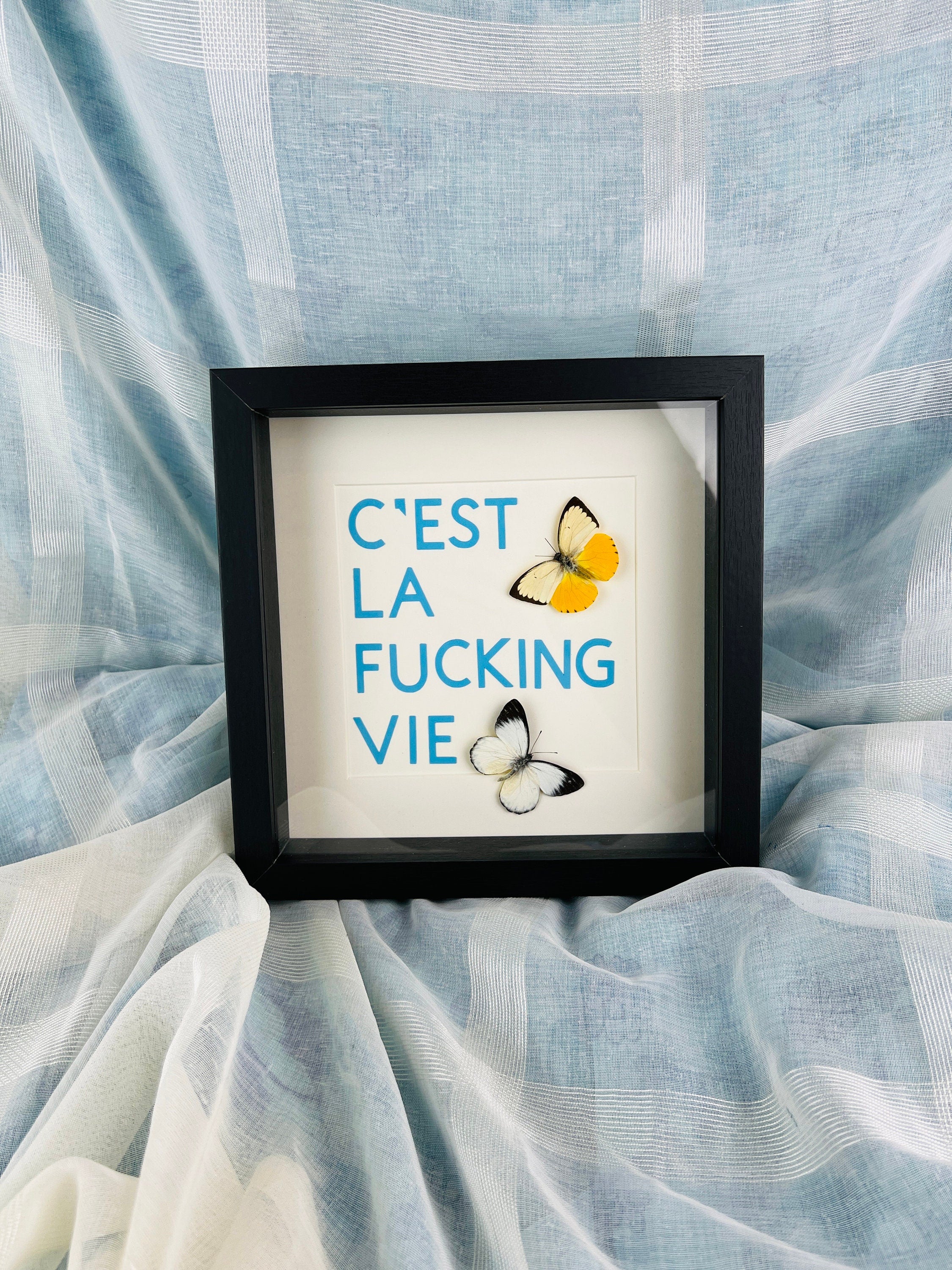 Vlinders met tekst in lijst