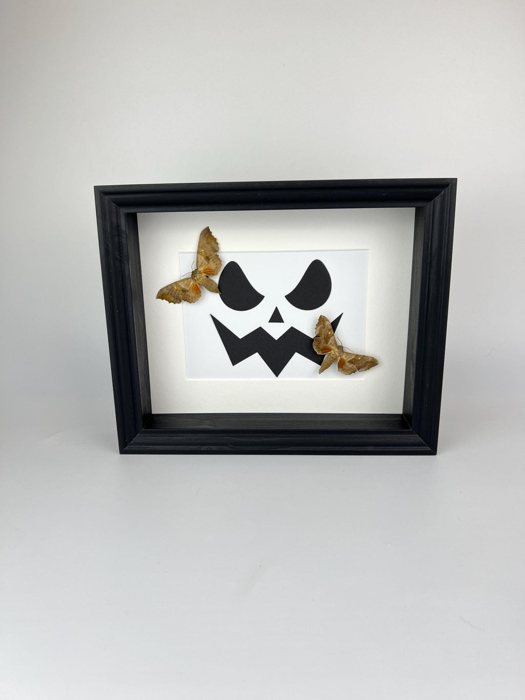 Motten auf Halloween-Motiv, gerahmt von KEY LIME STORE