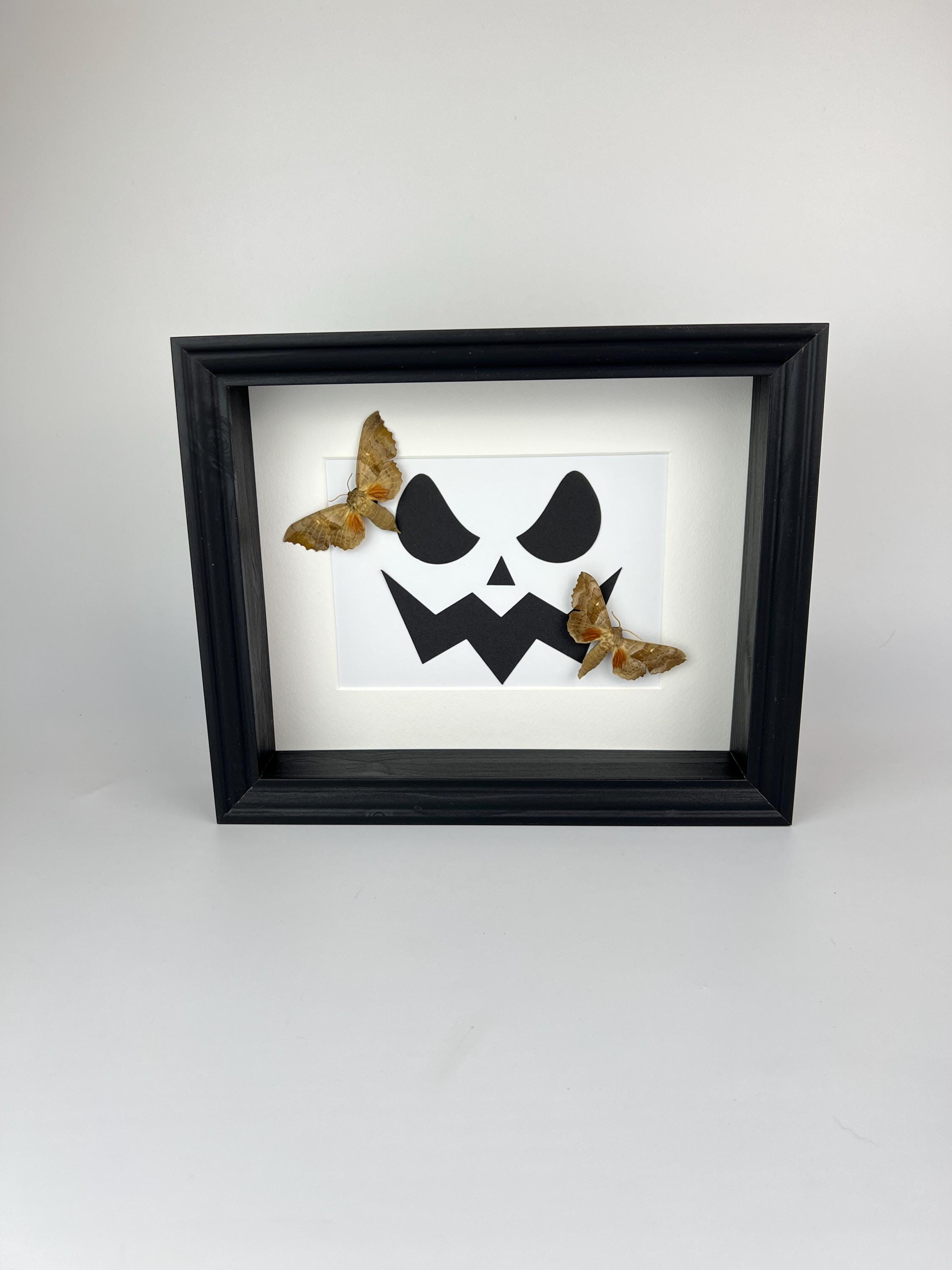 Motten op halloween print in lijst
