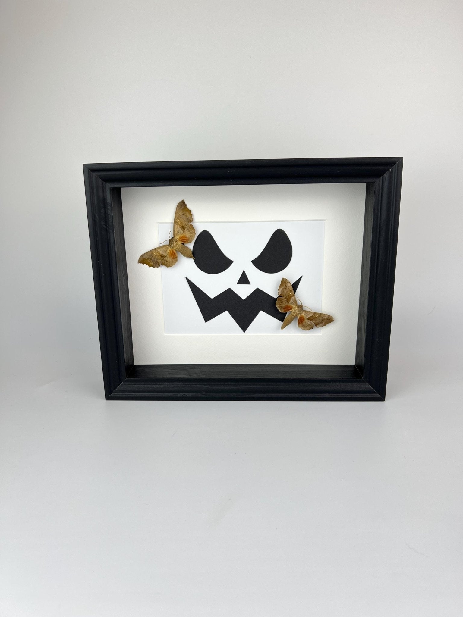 Motten auf Halloween-Motiv, gerahmt von KEY LIME STORE