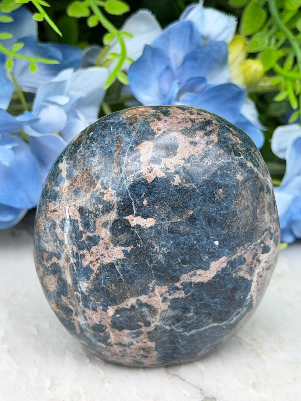 A close-up image of a black and gray rock with a speckled surface, resting on a white surface with blue flowers in the background.
