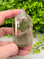 A hand is holding a clear crystal with a pointed top, set against a background of green foliage.