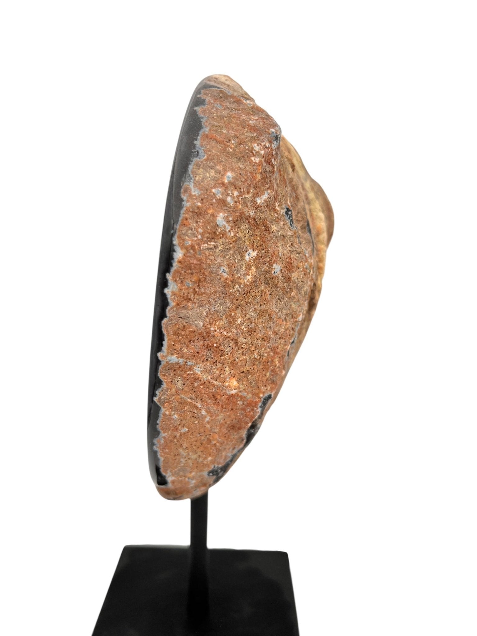 Halve agaat op standaard 2.490 kg by KEY LIME STORE