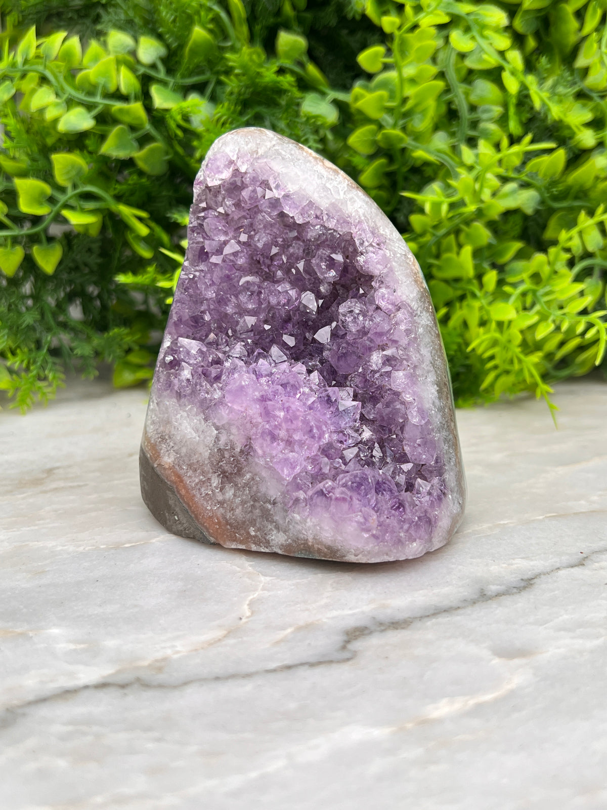 Amethist cluster cut base met gepolijste randen