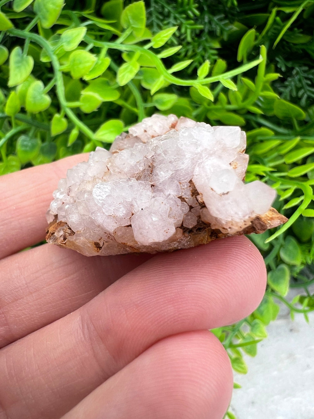 Rosa Amethyst-Cluster (4 cm) von KEY LIME STORE